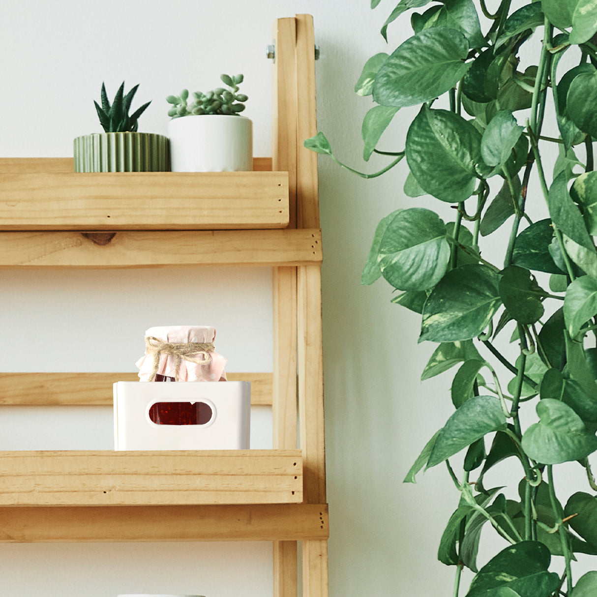 Organizador Extensible