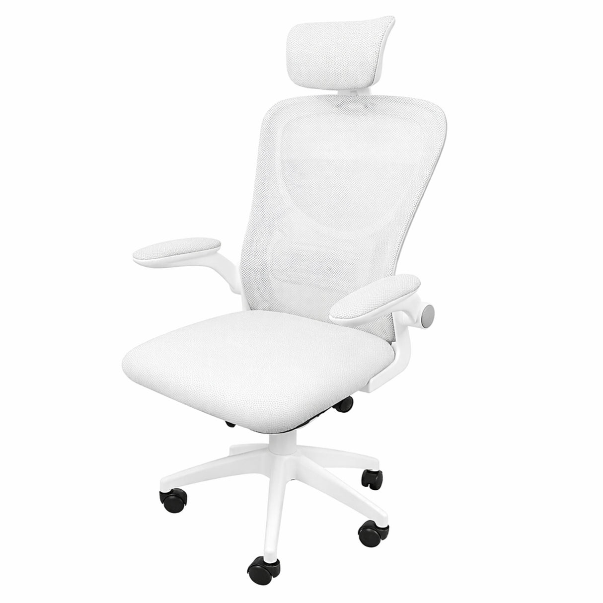 Silla Ordenador Ergo Plus