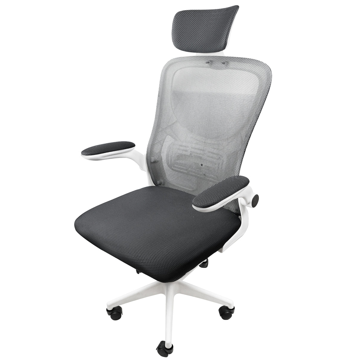 Silla Ordenador Ergo Plus