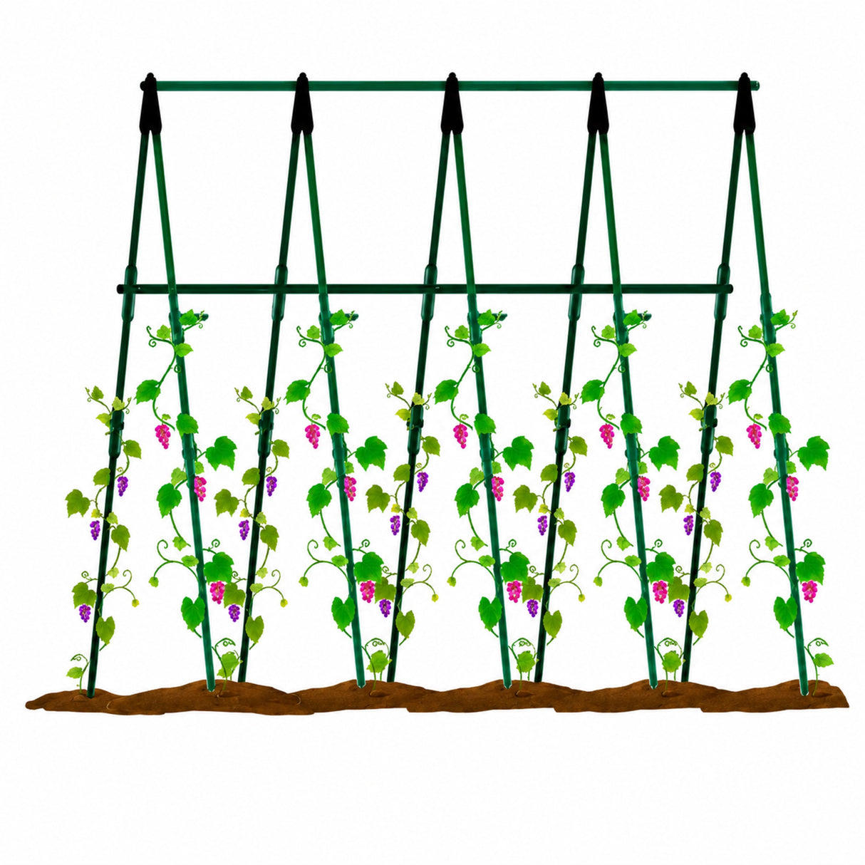 Enrejado en Kit Plantas Trepadoras