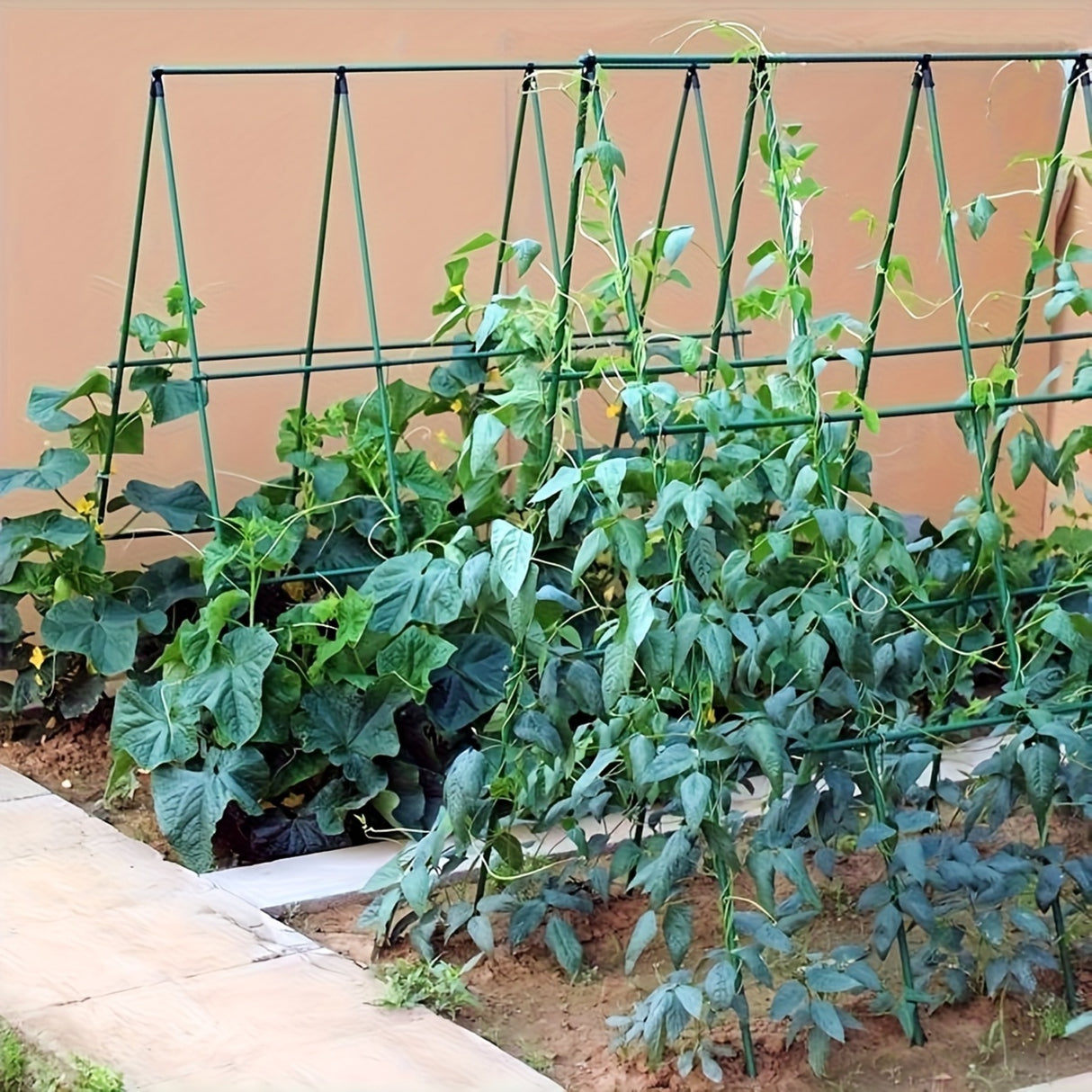Enrejado en Kit Plantas Trepadoras