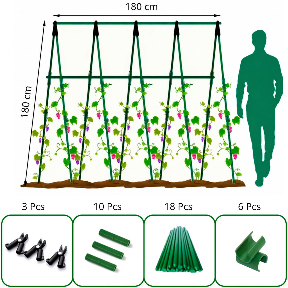 Enrejado en Kit Plantas Trepadoras