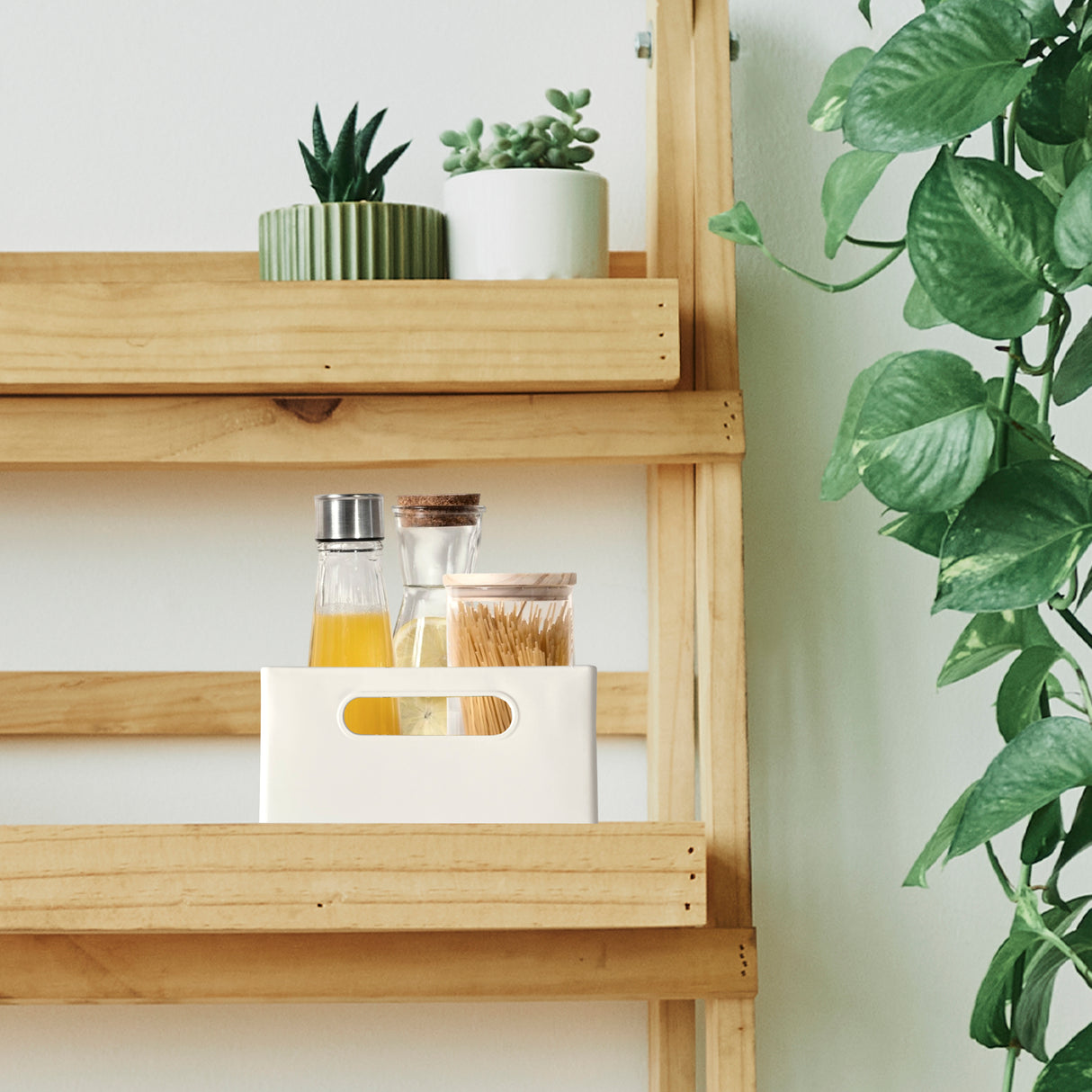 Organizador Extensible