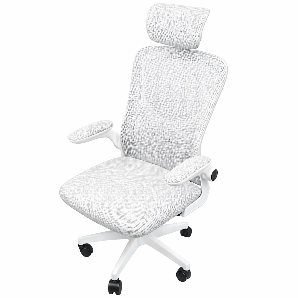 Silla Ordenador Ergo Plus