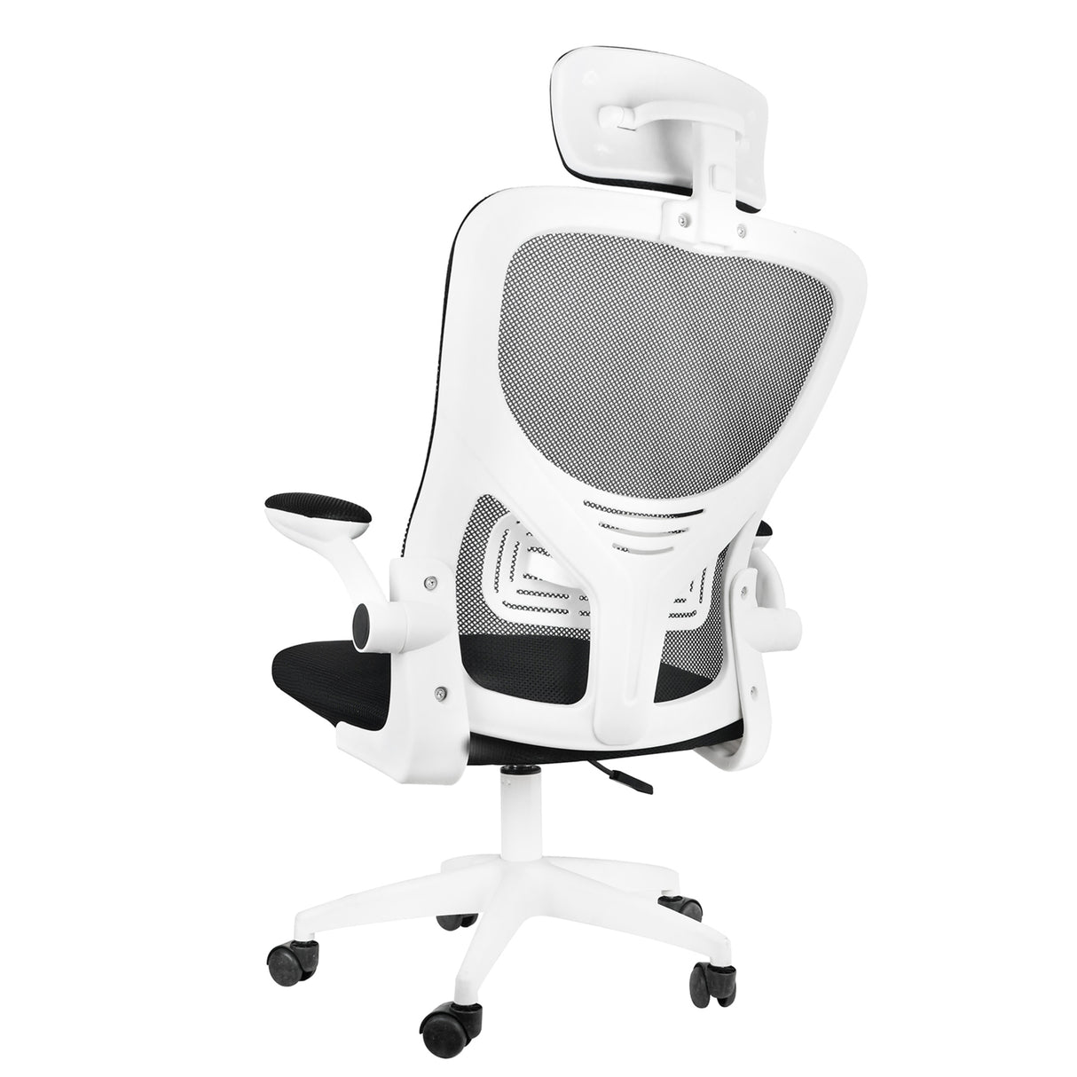 Silla Ordenador Ergo Plus