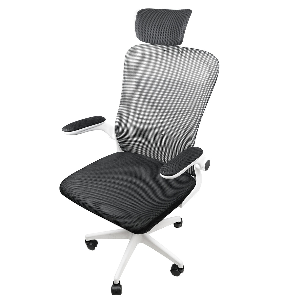 Silla Ordenador Ergo Plus