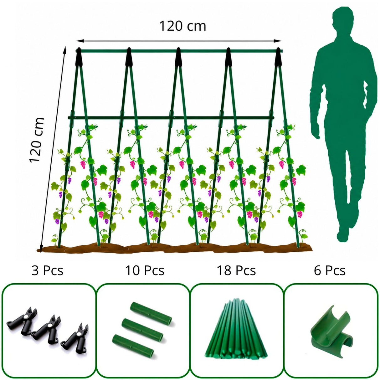 Enrejado en Kit Plantas Trepadoras