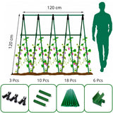 Enrejado en Kit Plantas Trepadoras