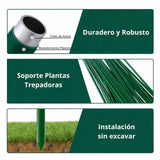 Enrejado en Kit Plantas Trepadoras