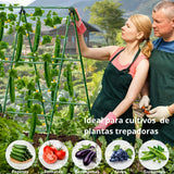 Enrejado en Kit Plantas Trepadoras