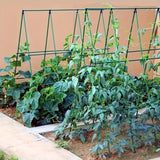 Enrejado en Kit Plantas Trepadoras