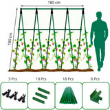 Enrejado en Kit Plantas Trepadoras