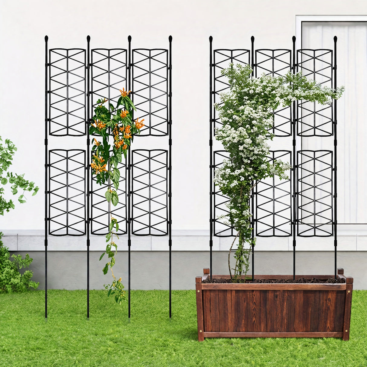 Enrejado Plantas Trepadoras