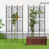 Enrejado Plantas Trepadoras